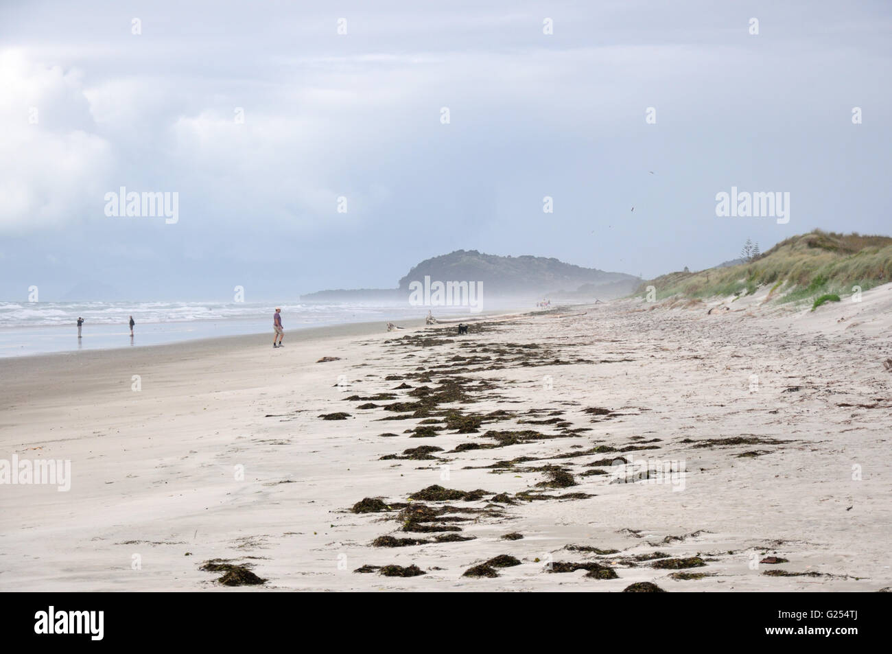 Waihi Beach looking South Stock Photo Alamy