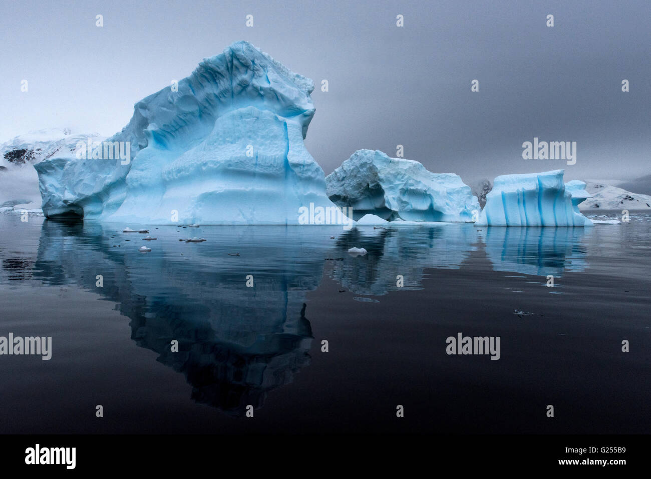 Iceberg floating at sea with reflection Paradise Bay, Antarctica Stock Photo