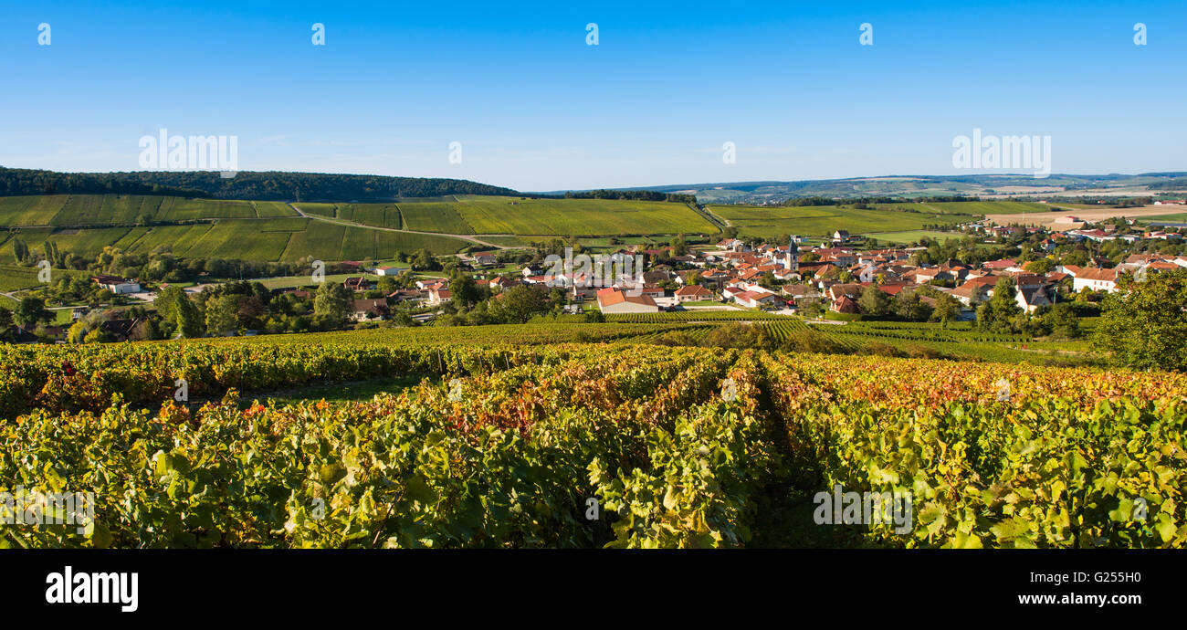 Champagne vineyards in the Cote des Bar area of the Aube department near to Baroville, Champagne-Ardennes, France, Europe Stock Photo