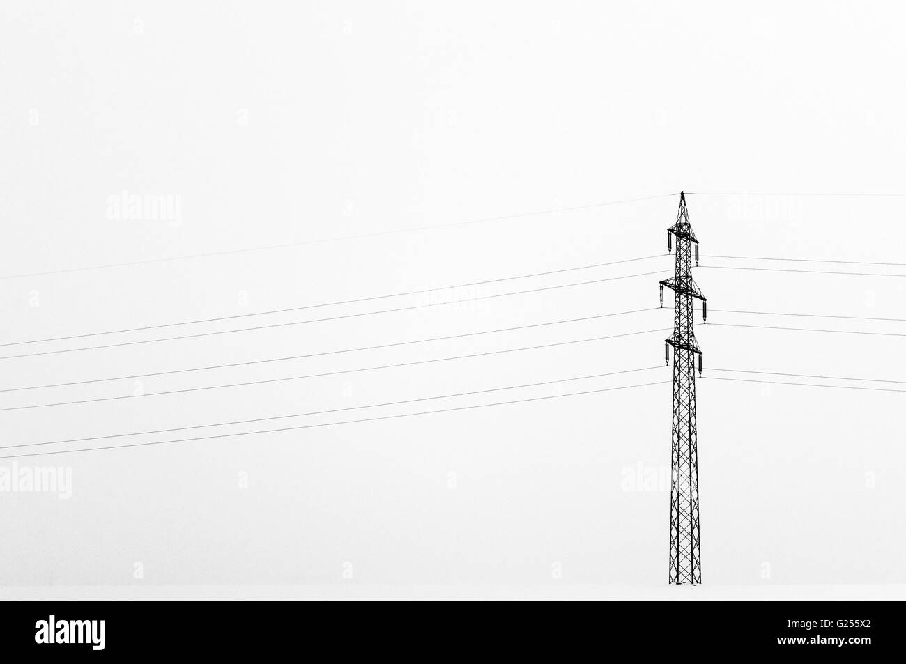 Black electric pole on white background Stock Photo