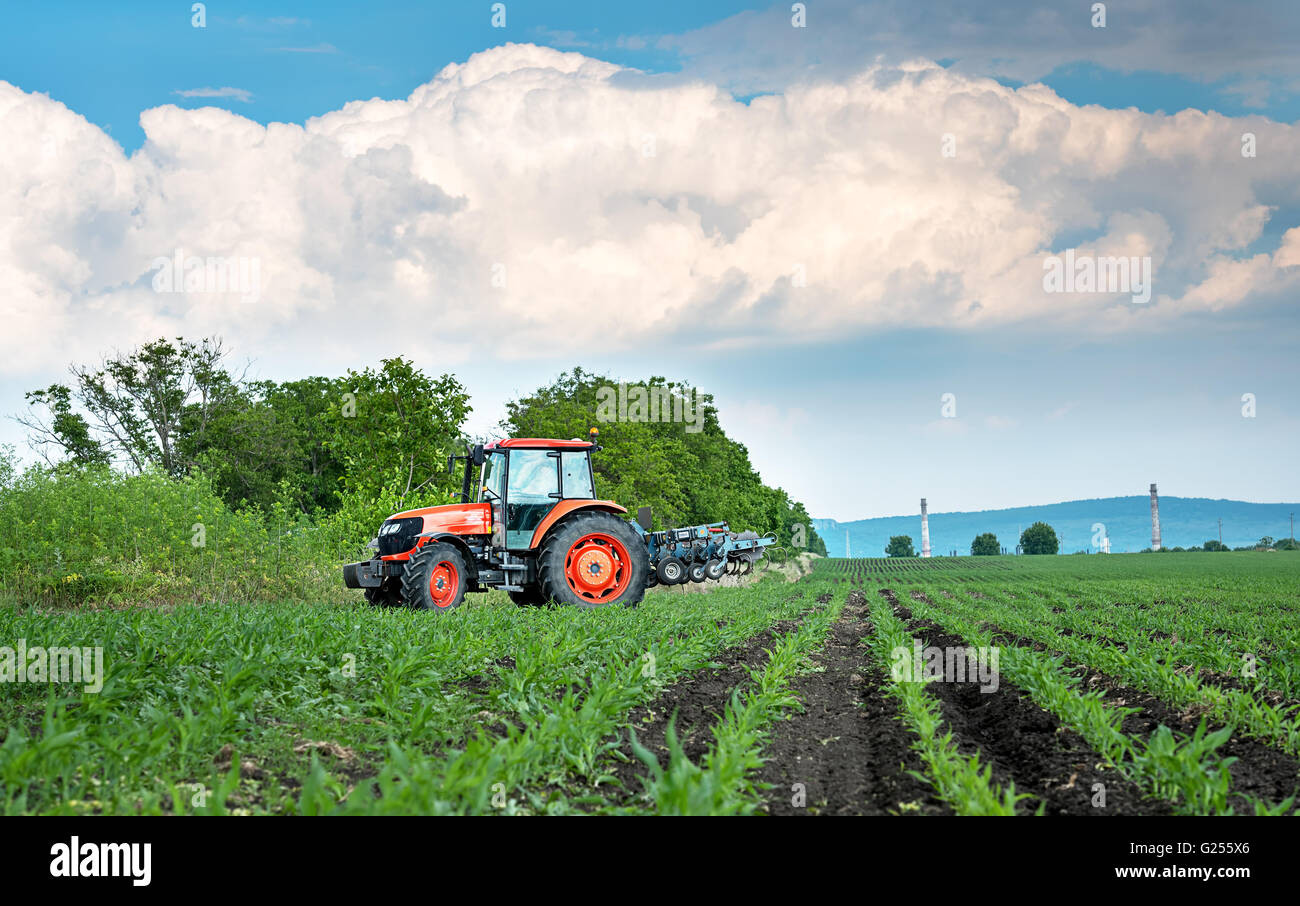 Close-up of agriculture red tractor cultivating field over blue sky. Stock Photo