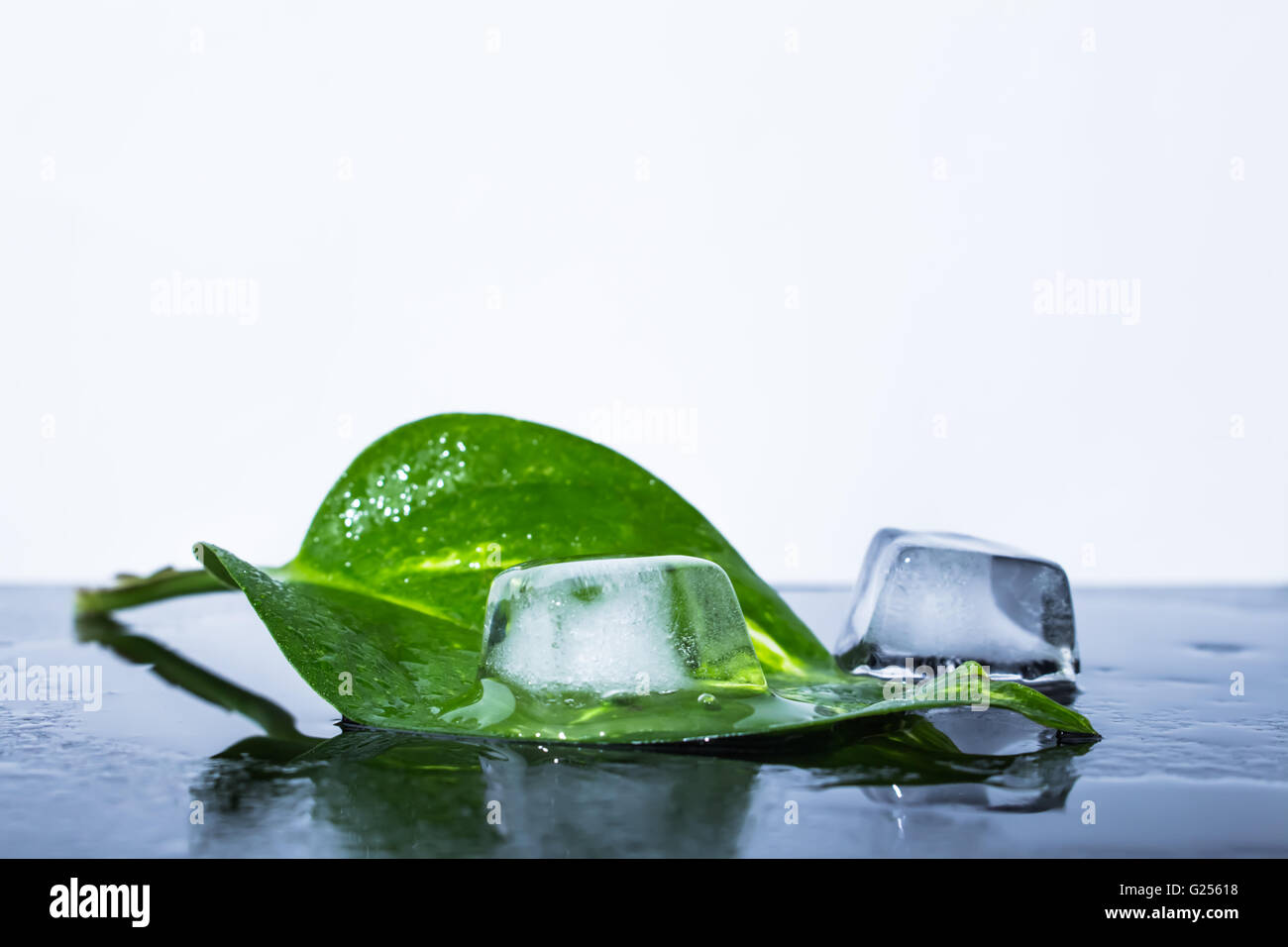 Ice cube with green leaf 2 Stock Photo