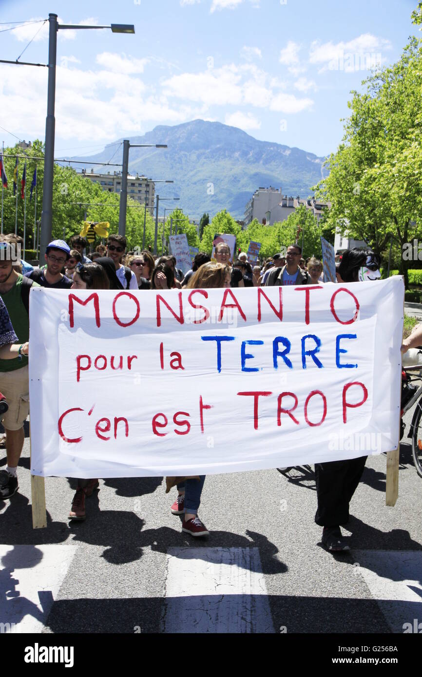 World march and demonstration against Monsanto, against genetically modified organisms (GMOs) against the disappearance of bees Stock Photo