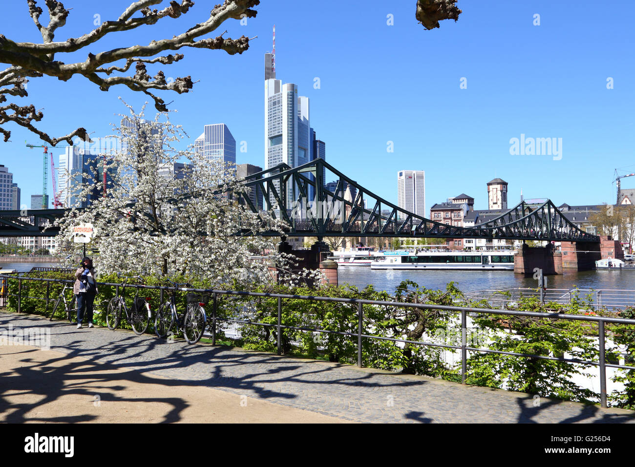 Frankfurt, Eiserner Steg, Main River Stock Photo
