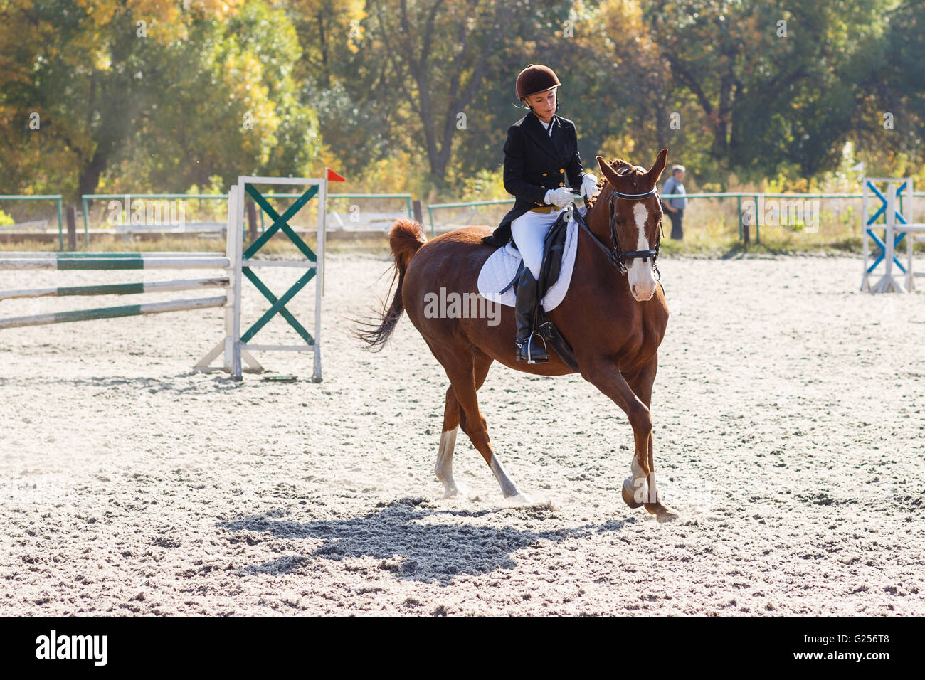 Young sportswoman riding horse in equestrian show jumps competition. Teenage girl ride a horse Stock Photo