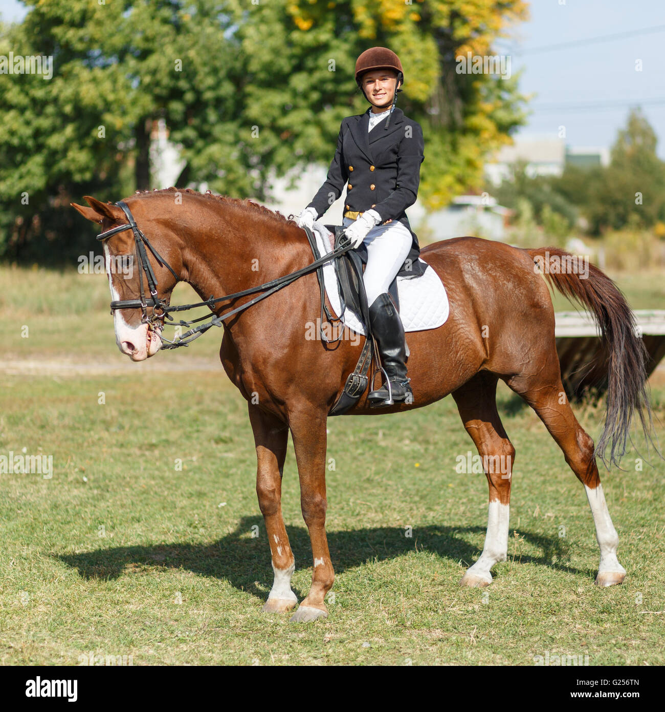 Young teenage girl riding a horse. Equestrian sportswoman jockey Stock Photo