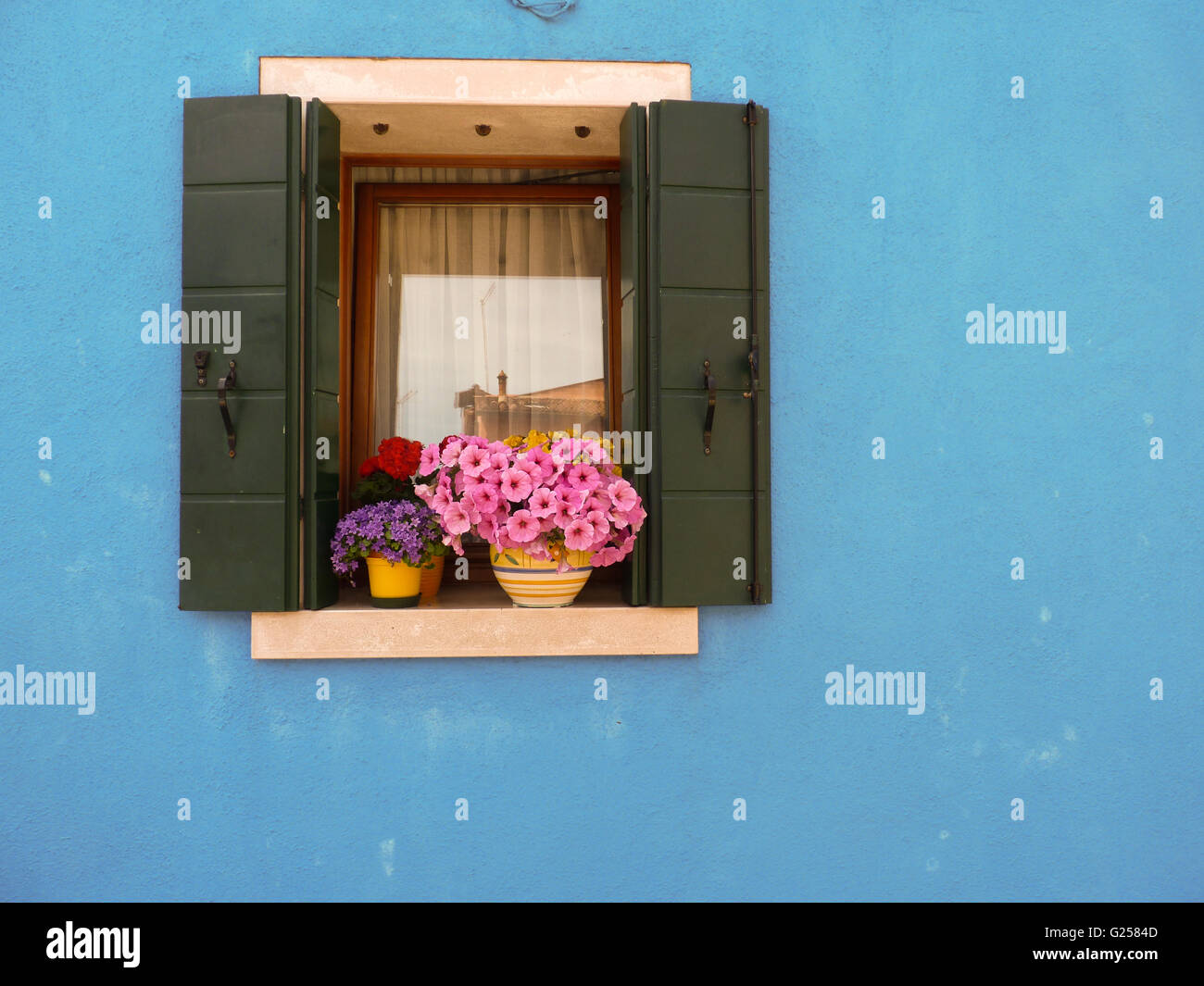 Flowers on windowsill Stock Photo - Alamy