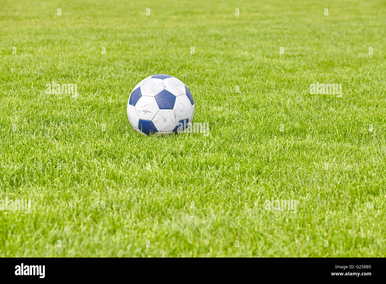 Used leather soccer ball on grass, space for text, shallow depth of field. Stock Photo