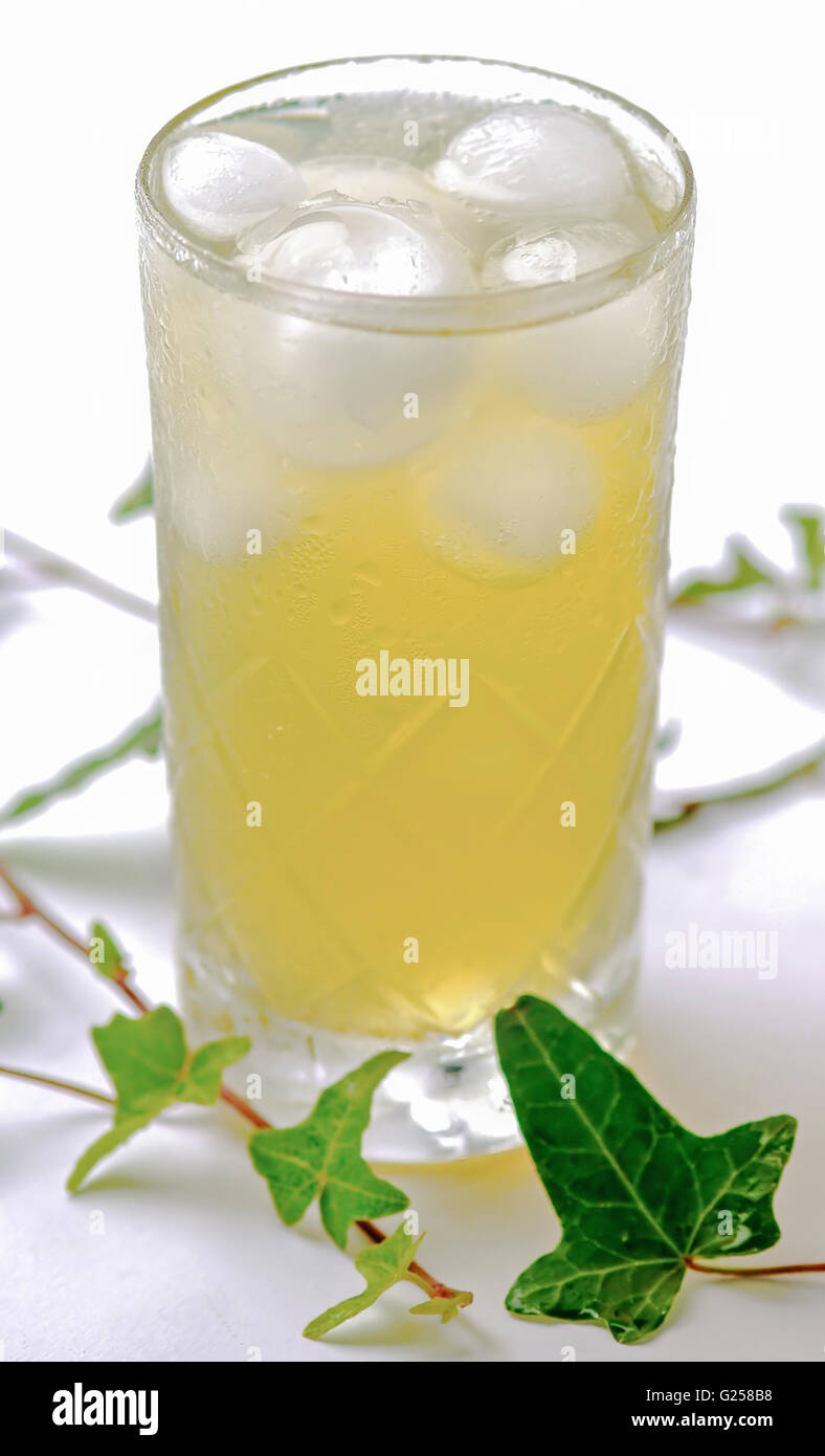 Glass of organic green tea with ice cubes Stock Photo Alamy