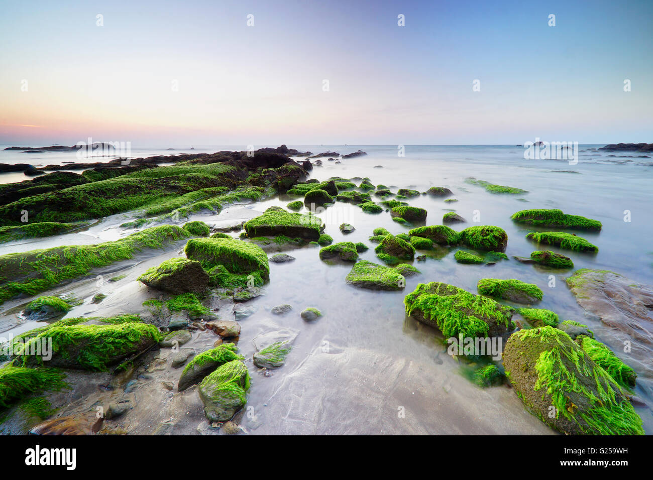 Moss covered rocks, Tindakon Dazang Beach, Kudat, Borneo, Malaysia Stock Photo