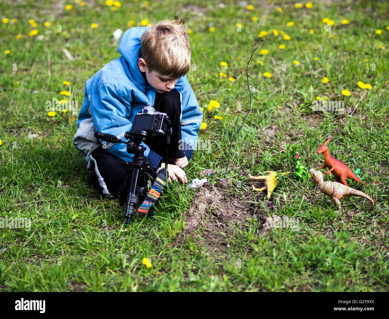Boy filming video with plastic toy dinosaurs outdoors Stock Photo