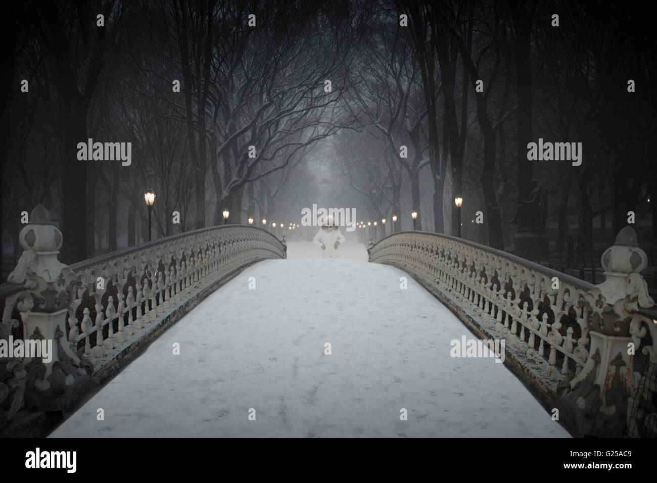 Woman walking over bridge in snow, Central Park, Manhattan, New York, America, USA Stock Photo