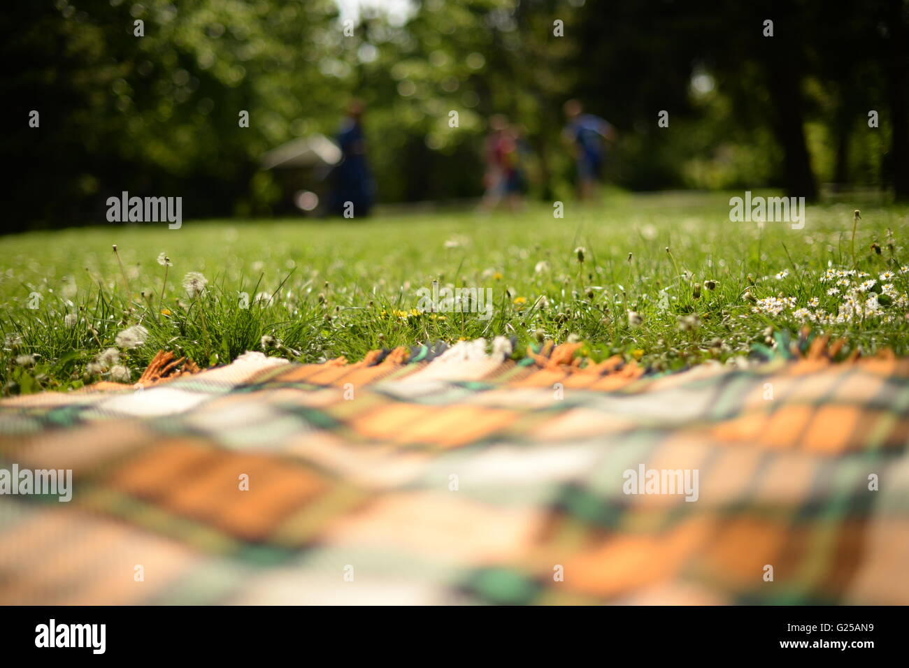 Picnic blanket on grass in park Stock Photo