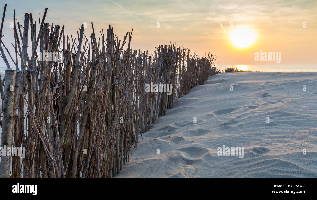 Wooden fence on beach at sunset, Schoorl, Holland Stock Photo - Alamy