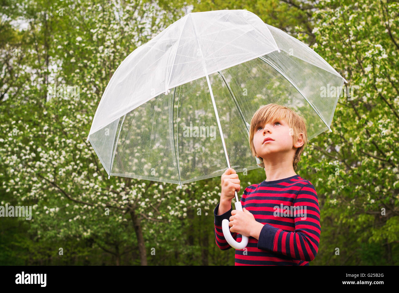 Boy holding transparent umbrella Stock Photo