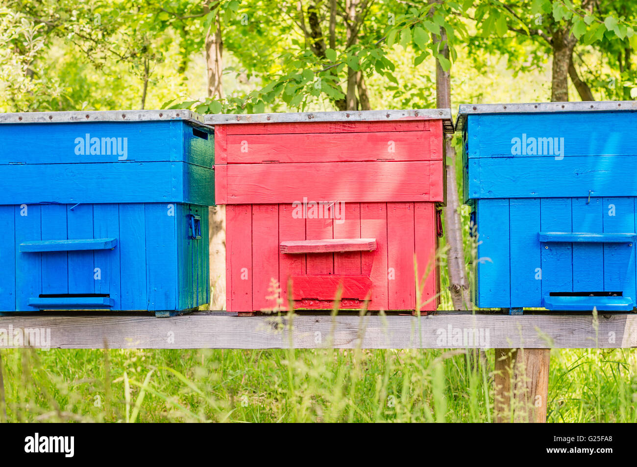 Front view of three colorful painted beehives on a small wooden platform Stock Photo