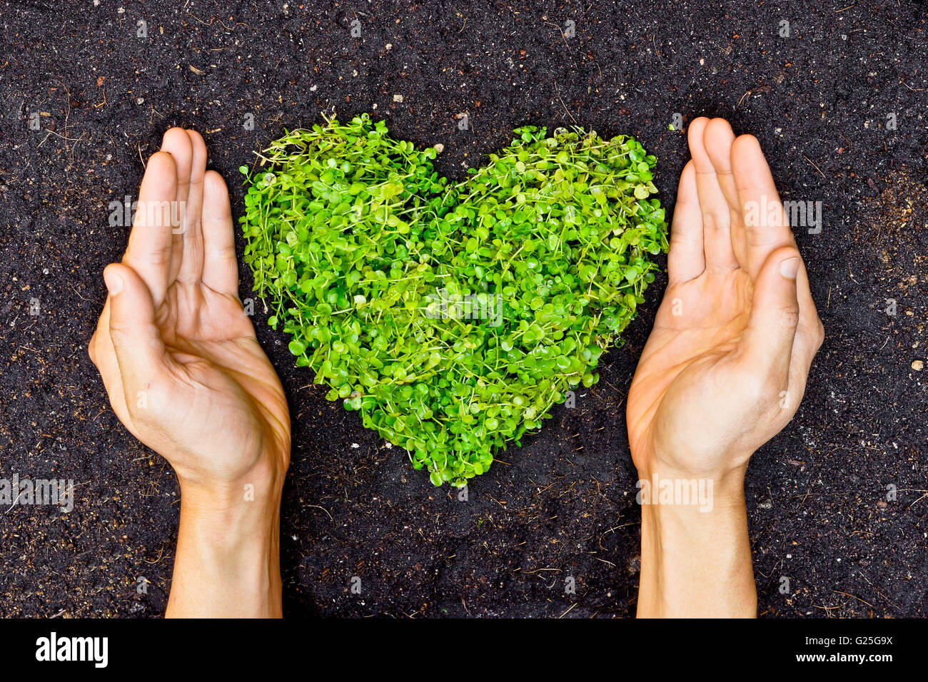 Love and protect nature Stock Photo - Alamy