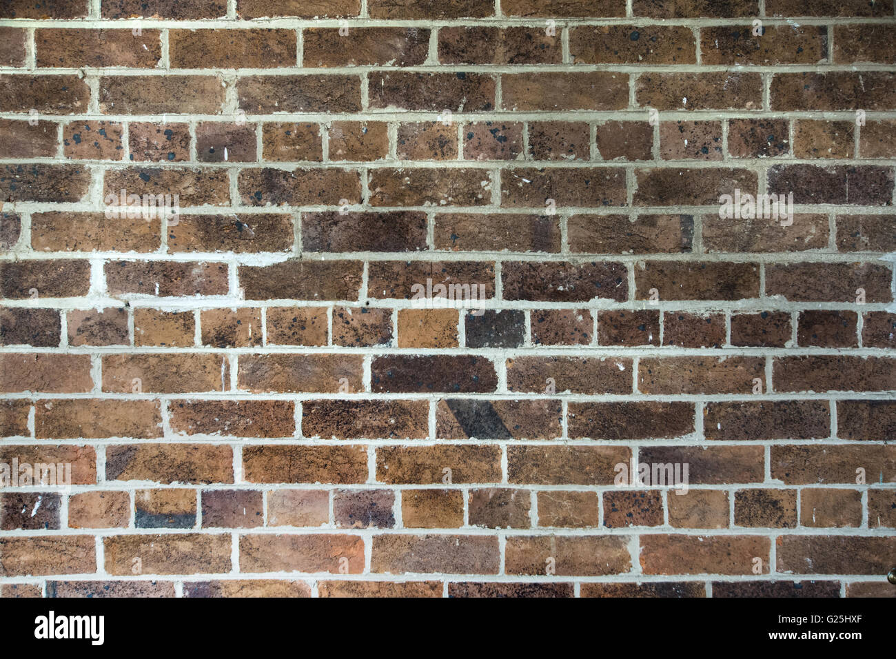 1904 Brick Wall in the style of English Garden Wall Bond. Langford Homestead Walcha Australia Stock Photo