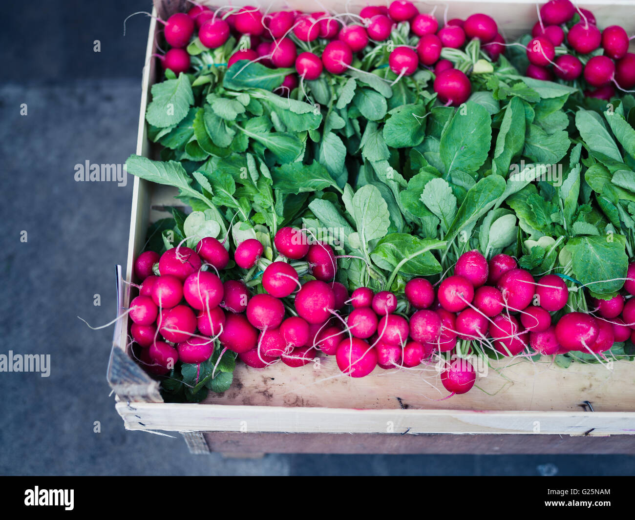 Консервированный редис. Держи редис. Как хранить редис в холодильнике. Сколько хранится редиска. Редис фасованный в пакетах.