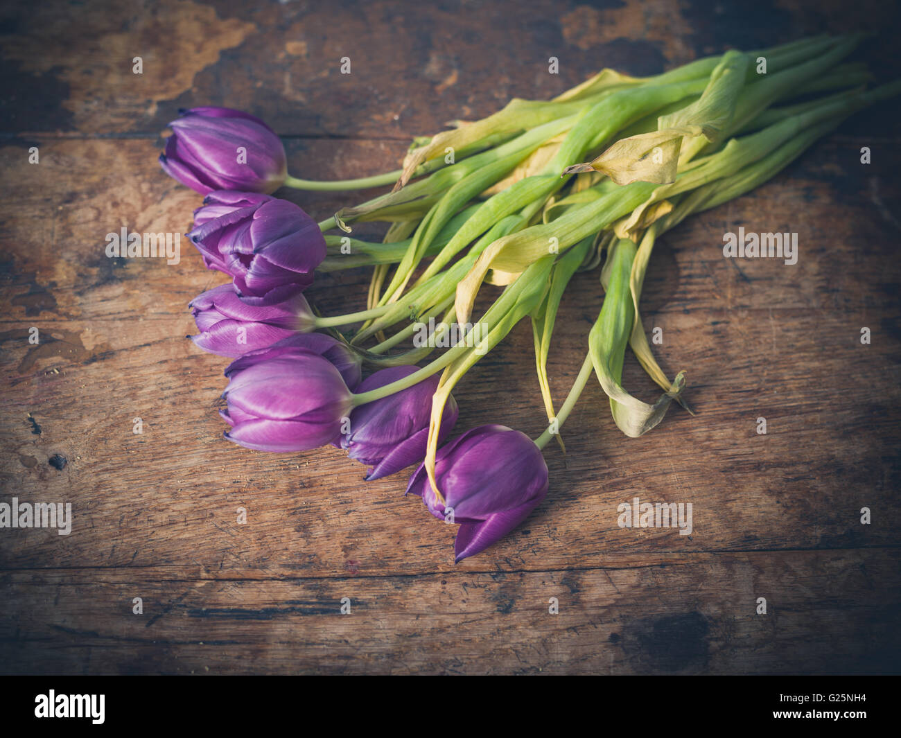 Dead flowers bunch hi-res stock photography and images - Alamy
