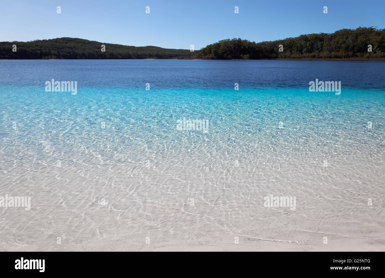 Lake McKenzie, UNESCO World Heritage Site, Fraser Island, Great Sandy National Park, Queensland, Australia Stock Photo