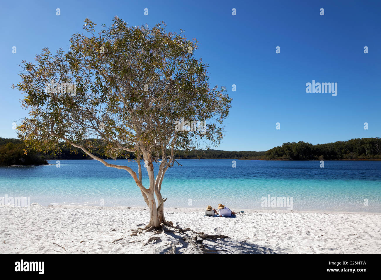 Couple lying on the sandy beach next to niaouli, broad-leaved paperbark (Melaleuca quinquenervia), Lake McKenzie Stock Photo