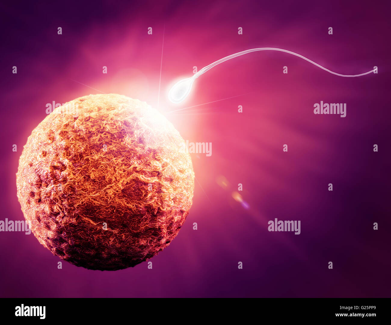 Human Sperm 3d High Resolution Stock Photography and Images - Alamy