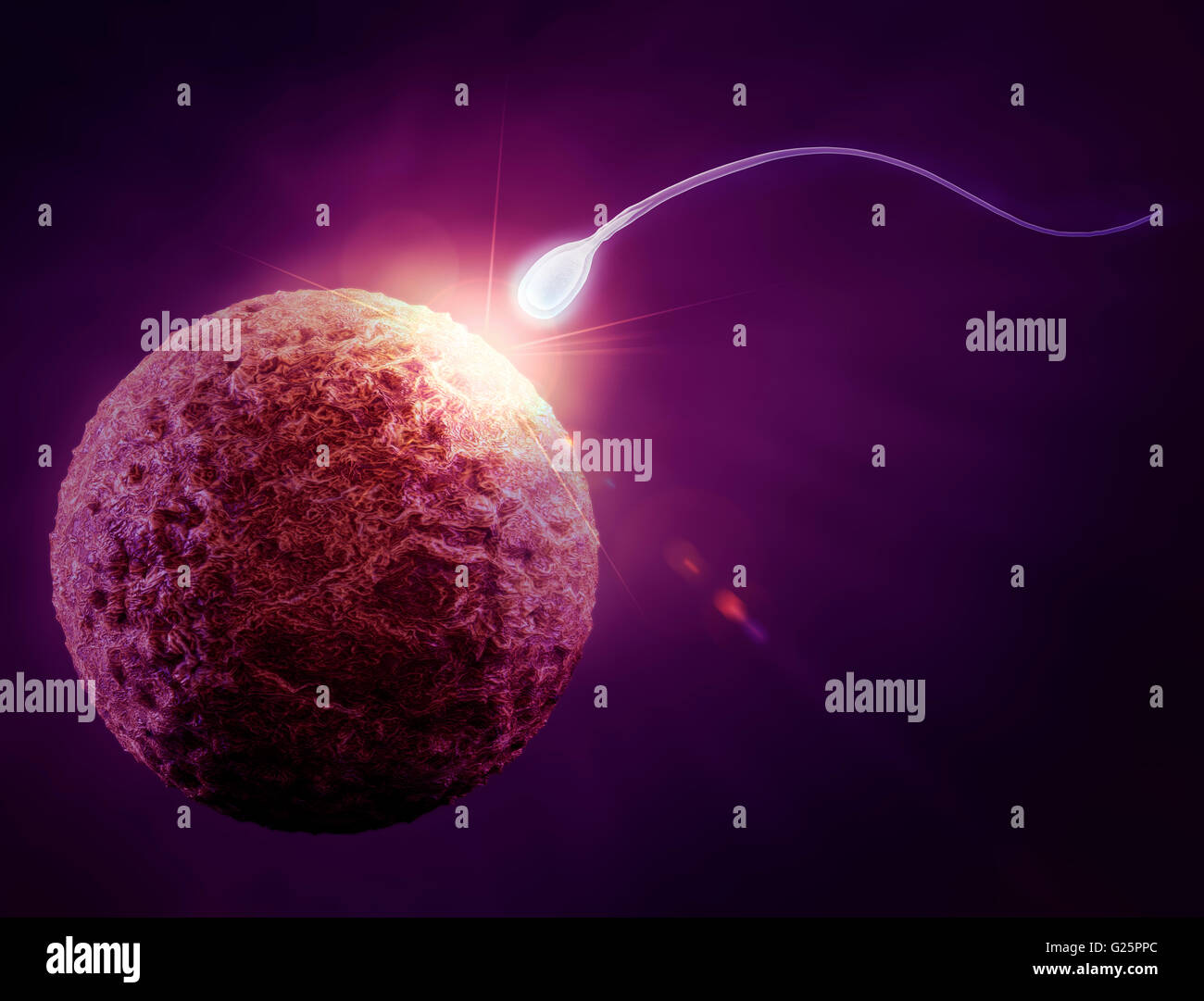 Human Sperm 3d High Resolution Stock Photography and Images - Alamy