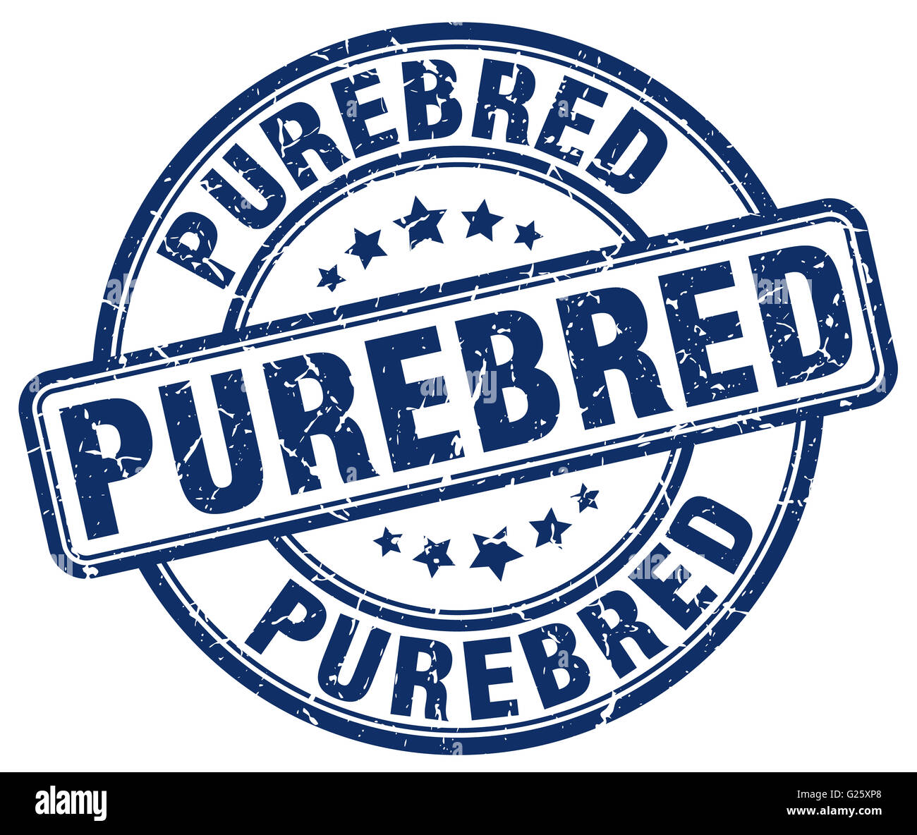 purebred blue grunge round vintage rubber stamp Stock Photo - Alamy
