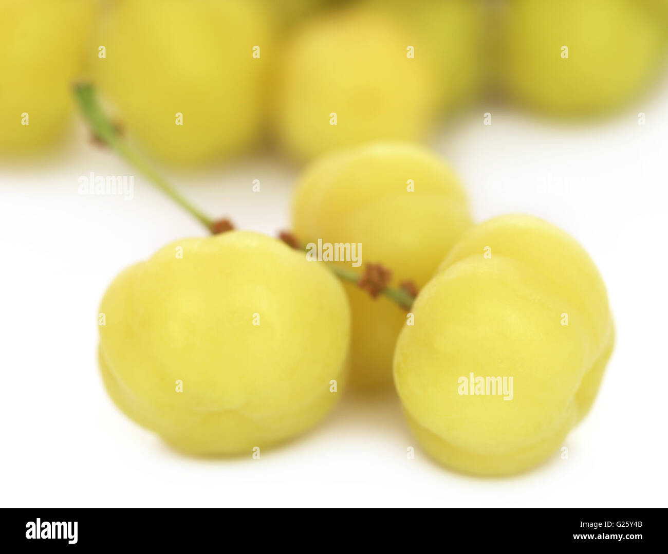 Phyllanthus acidus or Star gooseberry over white background Stock Photo