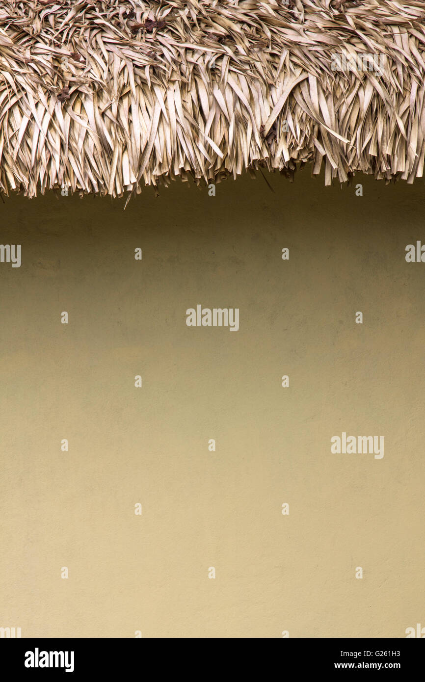Detail of a wall of a hut with roof made of dried palmtree leaves with space to fill it with any text. Stock Photo