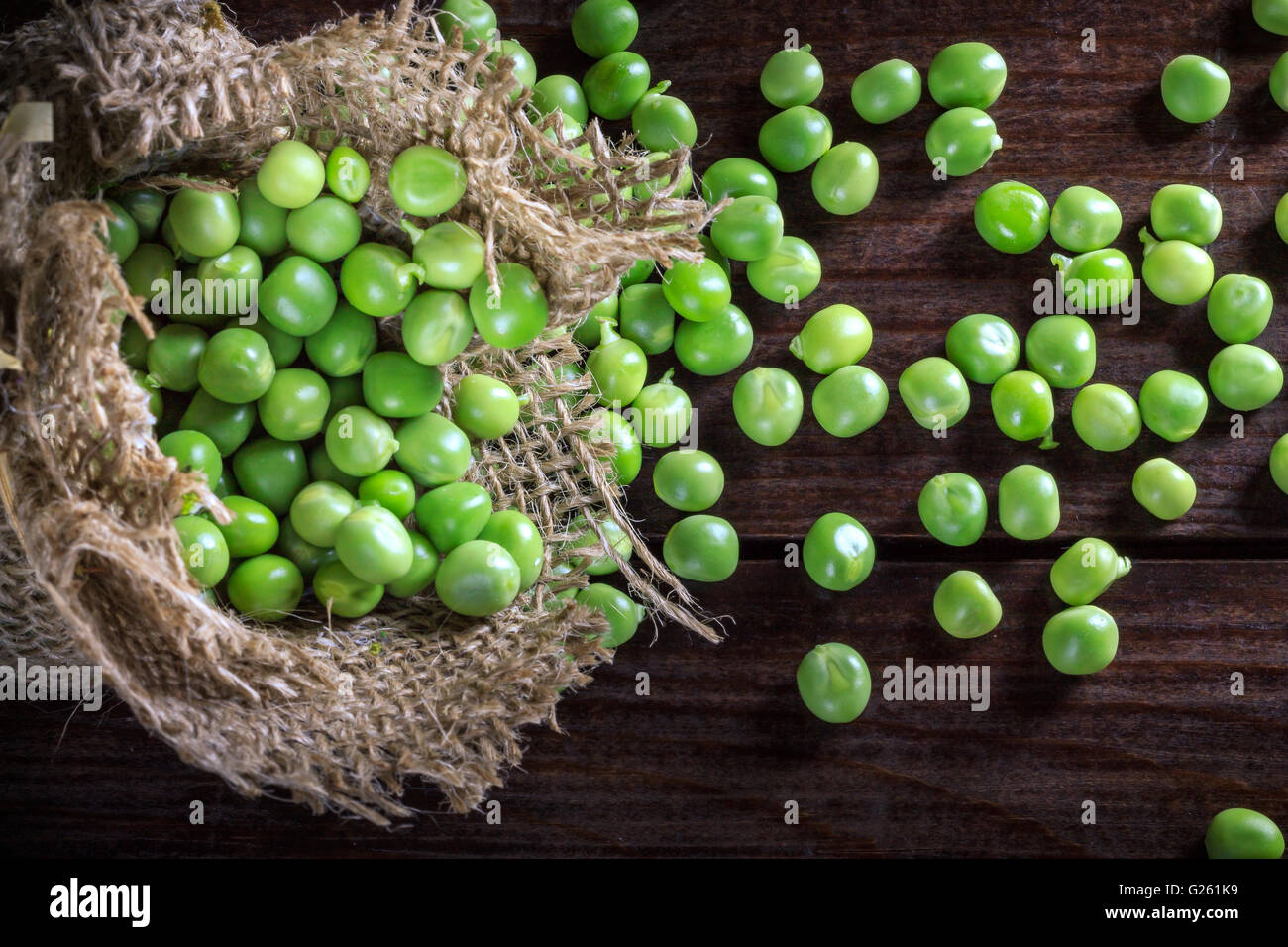Green peas spilling out of small burlap bag on dark wooden background