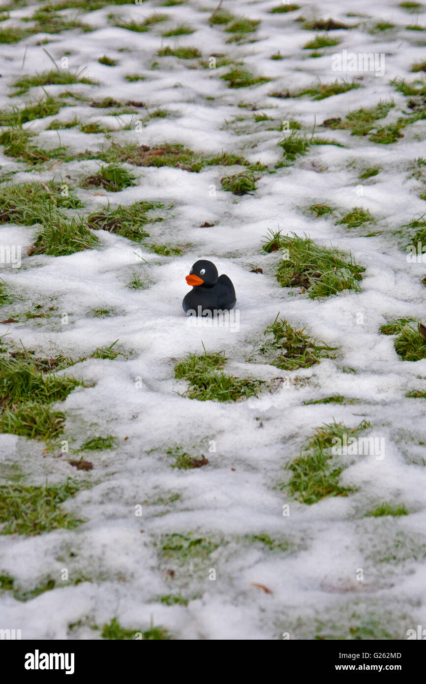 Black rubber duck toy placed on snow outdoors Stock Photo