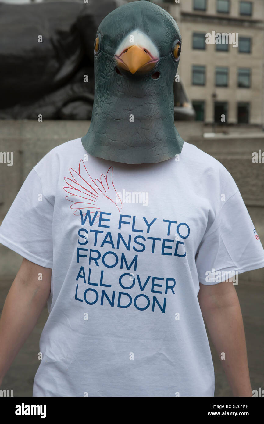 Trafalgar Square, London, UK. 24th May 2016.Today in Trafalgar Square