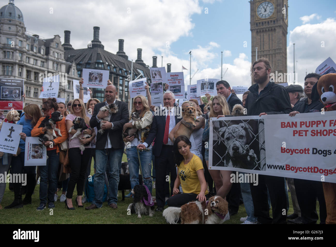 London UK, 24th May 2016,   Puppy farming protest outside Parliament Credit:  Ian Davidson/Alamy Live News Stock Photo