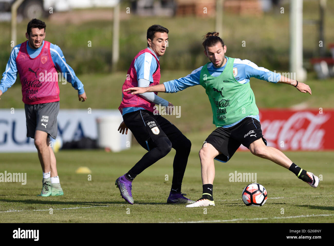 Canelones. 24th May, 2016. Matias Vecino (C) and Gaston Silva (R) of the Uruguay national soccer team, participate in a training session in the complex of the Uruguay football Association (AUF), Canelones city, 30 km from Montevideo, capital of Uruguay, on May 24, 2016, before the friendly match against Trinidad and Tobago to be held on May. © Nicolas Celaya/Xinhua/Alamy Live News Stock Photo