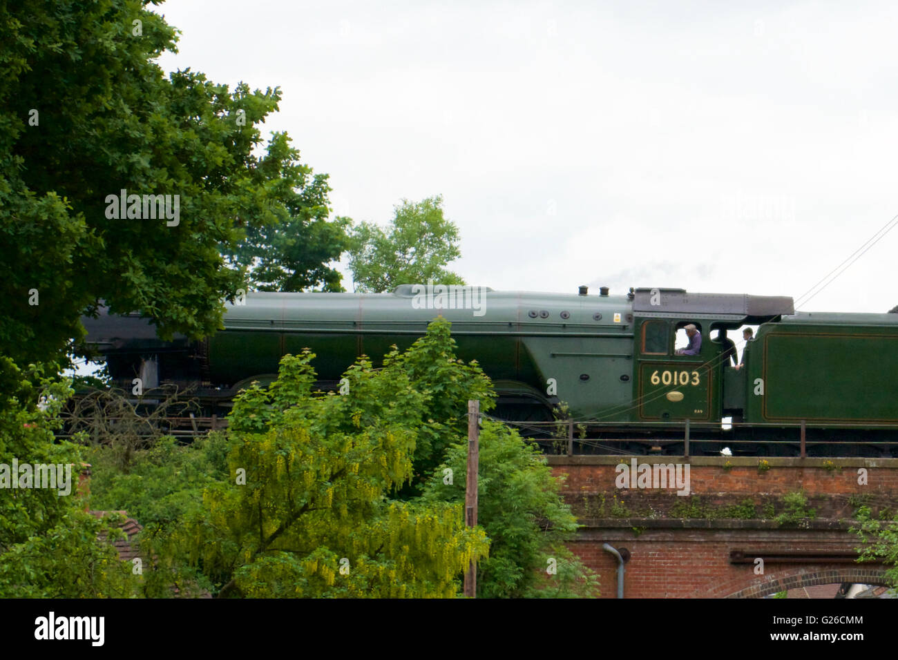 The Flying Scotsman 60103 Cathedrals Express crosses Nutley Lane Bridge as it steams through the Surrey Hills at Reigate, Surrey. 1428hrs Wednesday 25th May 2016 en route to London Victoria. Photo: Credit: Lindsay Constable / Alamy Live News Stock Photo