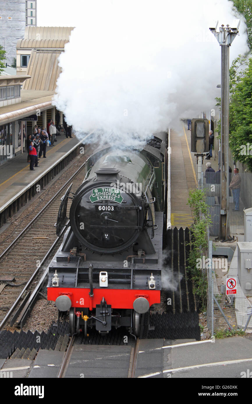Feltham, Hounslow, London, UK. 25th May 2016. The Flying Scotsman billowing steam passes through Feltham station, London, UK. This was on the outward leg of a journey from London Victoria south to Guildford, across the Surrey Hills and returning to London via Croydon. Credit:  Julia Gavin UK/Alamy Live News Stock Photo