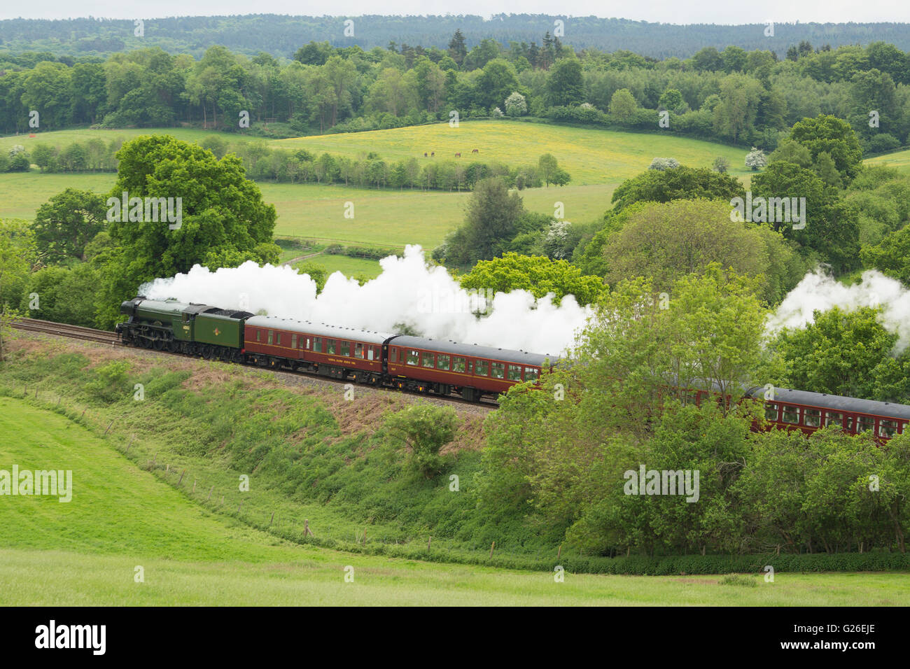 Surrey, UK. 25th May, 2016. The steam locomotive Flying Scotsman seen today on its first excursion in to the Surrey Hills since returning to service earlier this year. Rob Powell/Alamy Live News Stock Photo