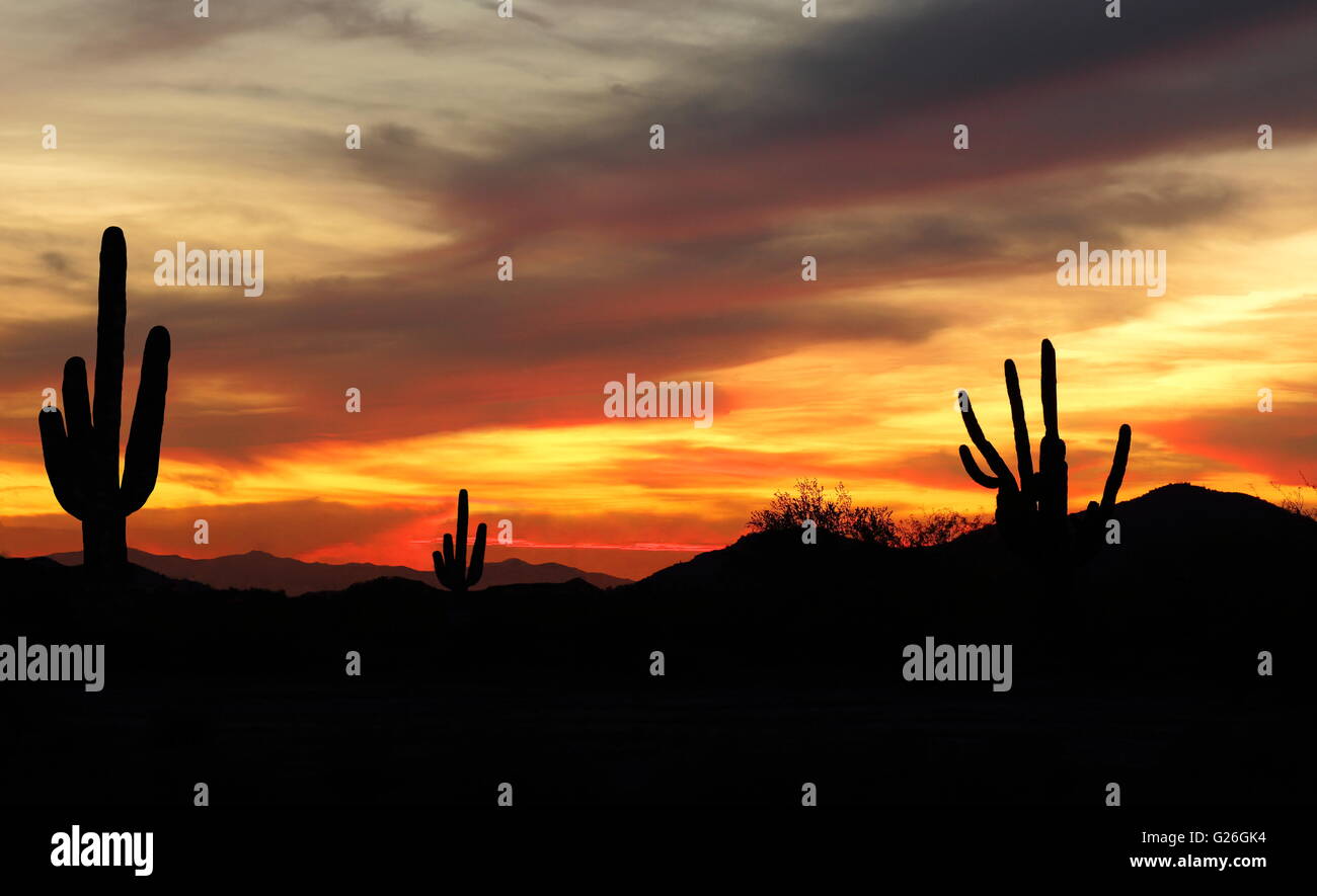 Sunset in Wild West Desert of Arizona - Beautiful sunset in the Arizona ...