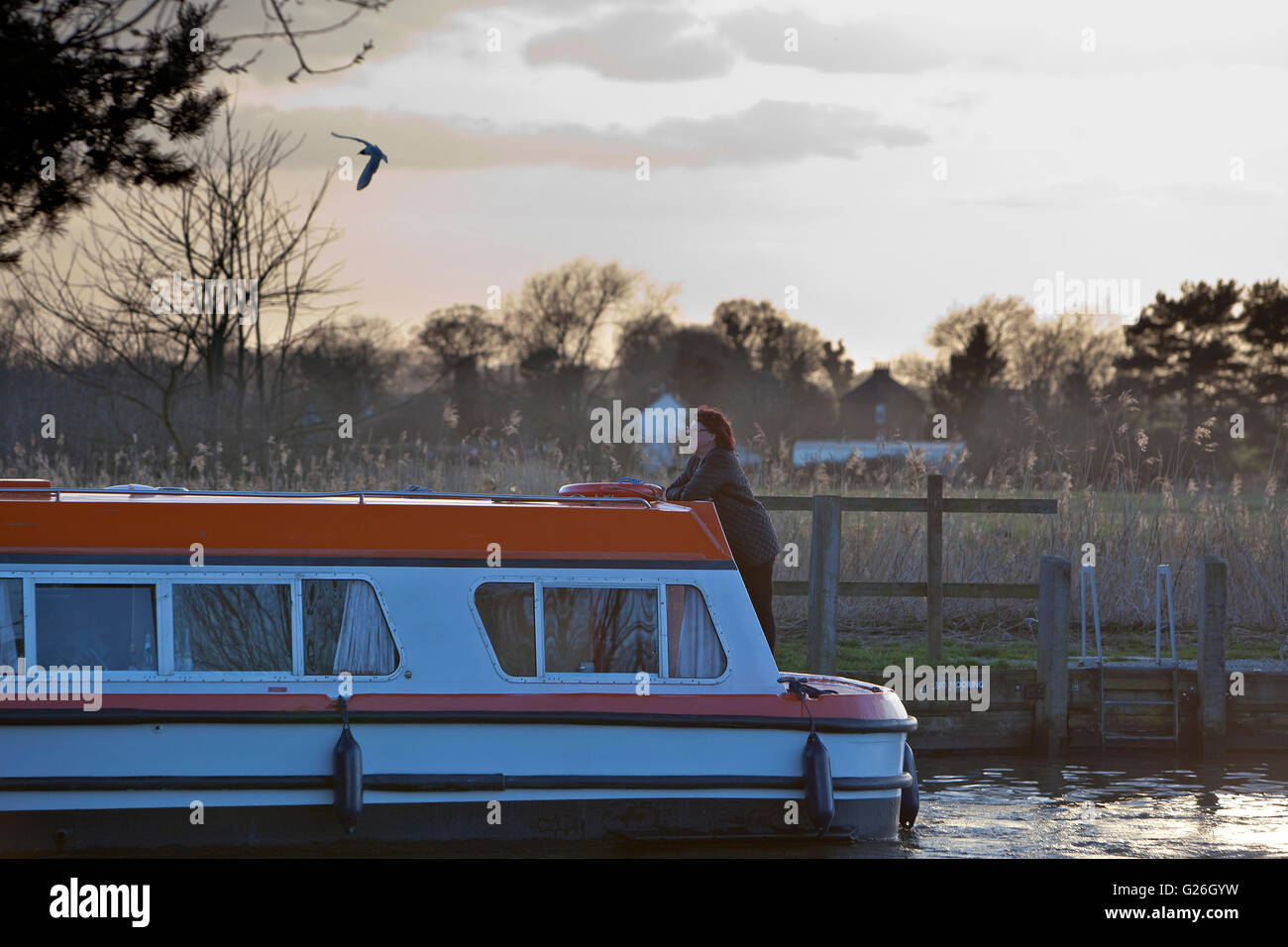 Woman enjoying a cruise on the Norfolk Broads Stock Photo