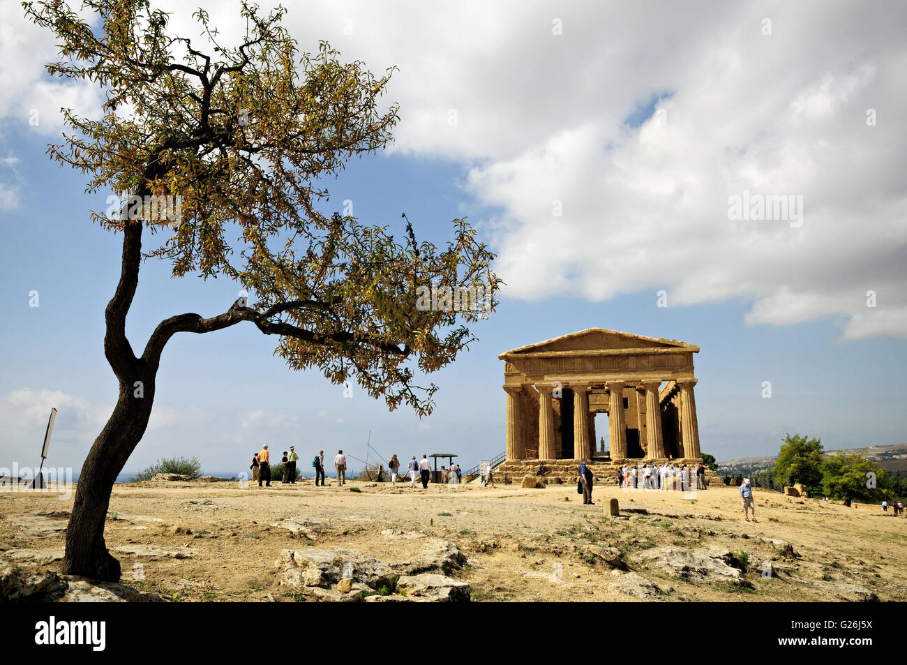 Tree and Temple of Concordia, Valle dei Templi, Sicily, Italy Stock Photo