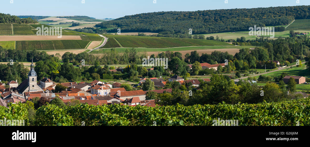 Champagne vineyards in the Cote des Bar area of the Aube department near to Arrentieres, Champagne-Ardennes, France, Europe Stock Photo