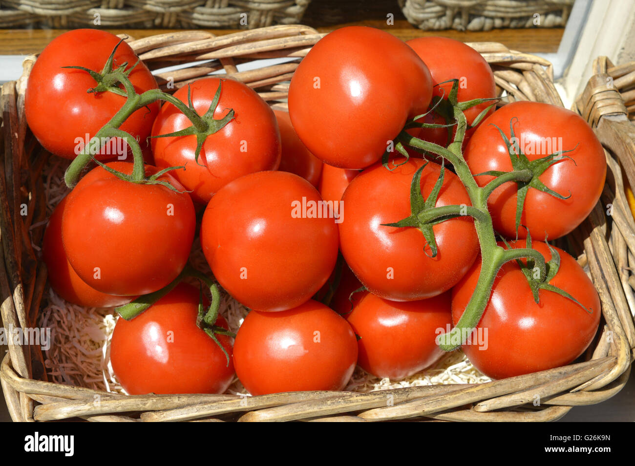 Fresh red tomatoes in a basket Stock Photo - Alamy