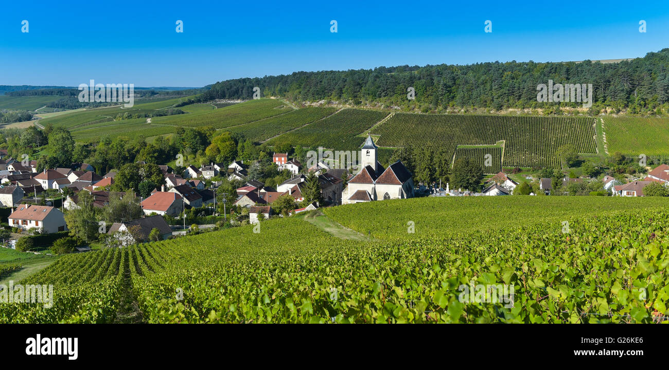 Champagne vineyards in the Cote des Bar area of the Aube department near to Viviers sur Artaut, Champagne-Ardennes, France, Euro Stock Photo