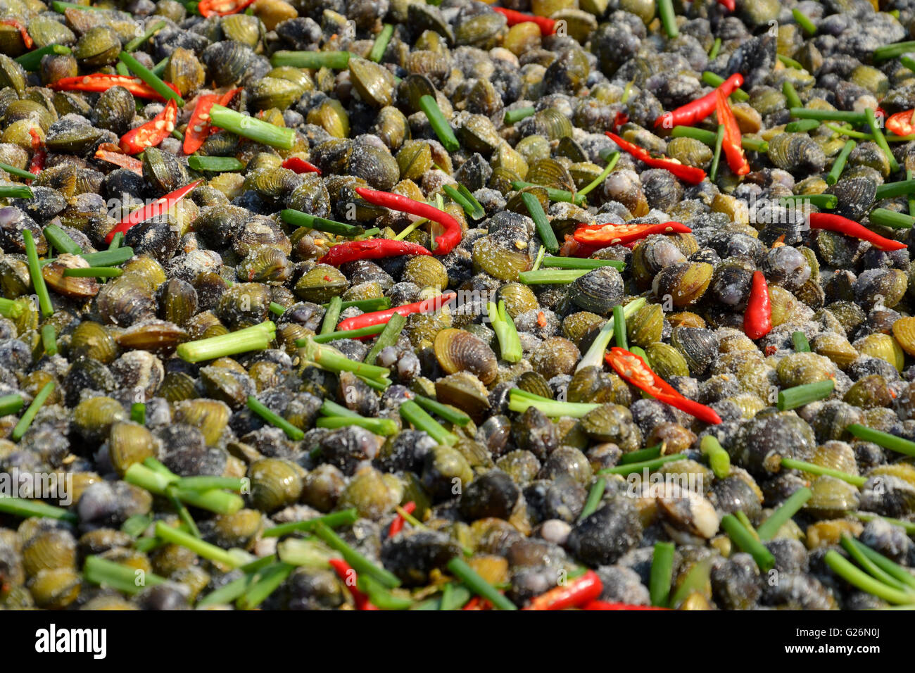 Shells with Chili, cambodian popular street food Stock Photo