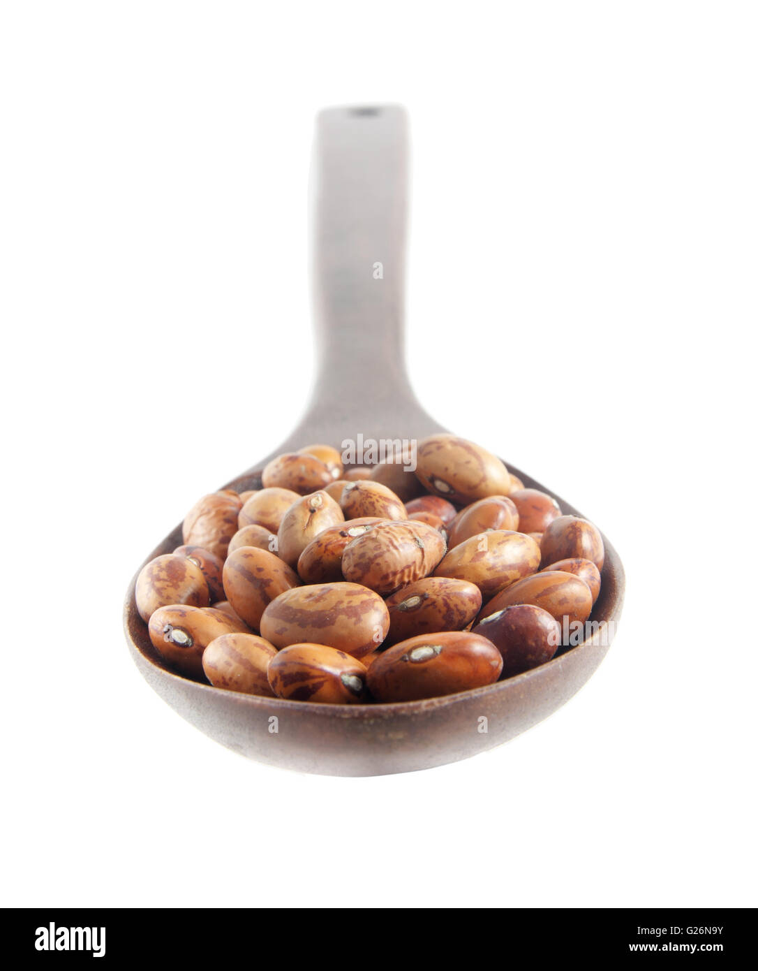 Pinto beans on a wooden spoon isolated on white background - Shallow depth of field Stock Photo