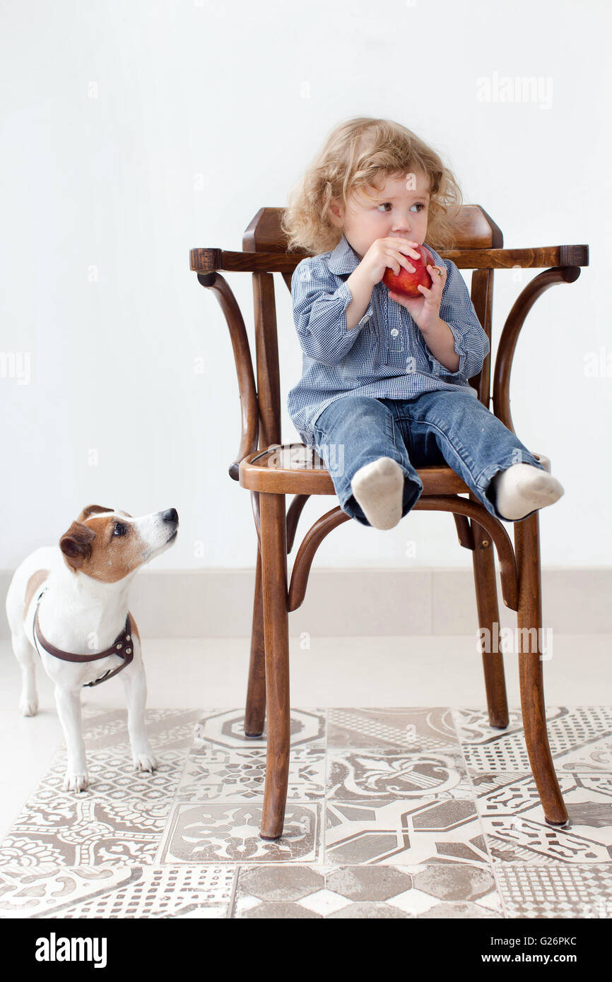 Little child eats apple in studio and dog looking Stock Photo