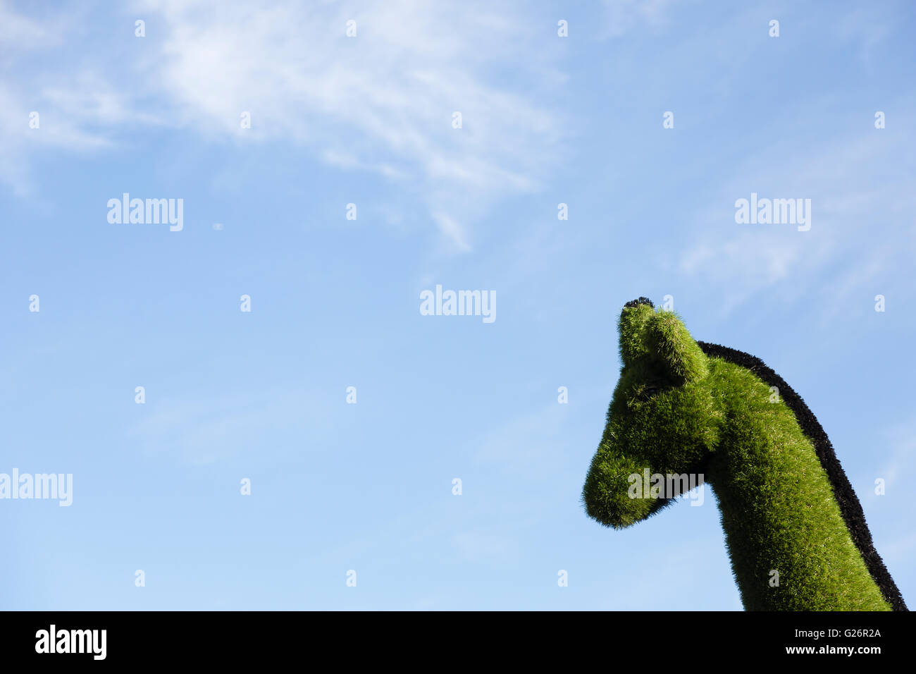 Chelsea Flower Show, London, UK. Giraffe sculpted out of grass against blue sky at the Easigrass stand. Stock Photo