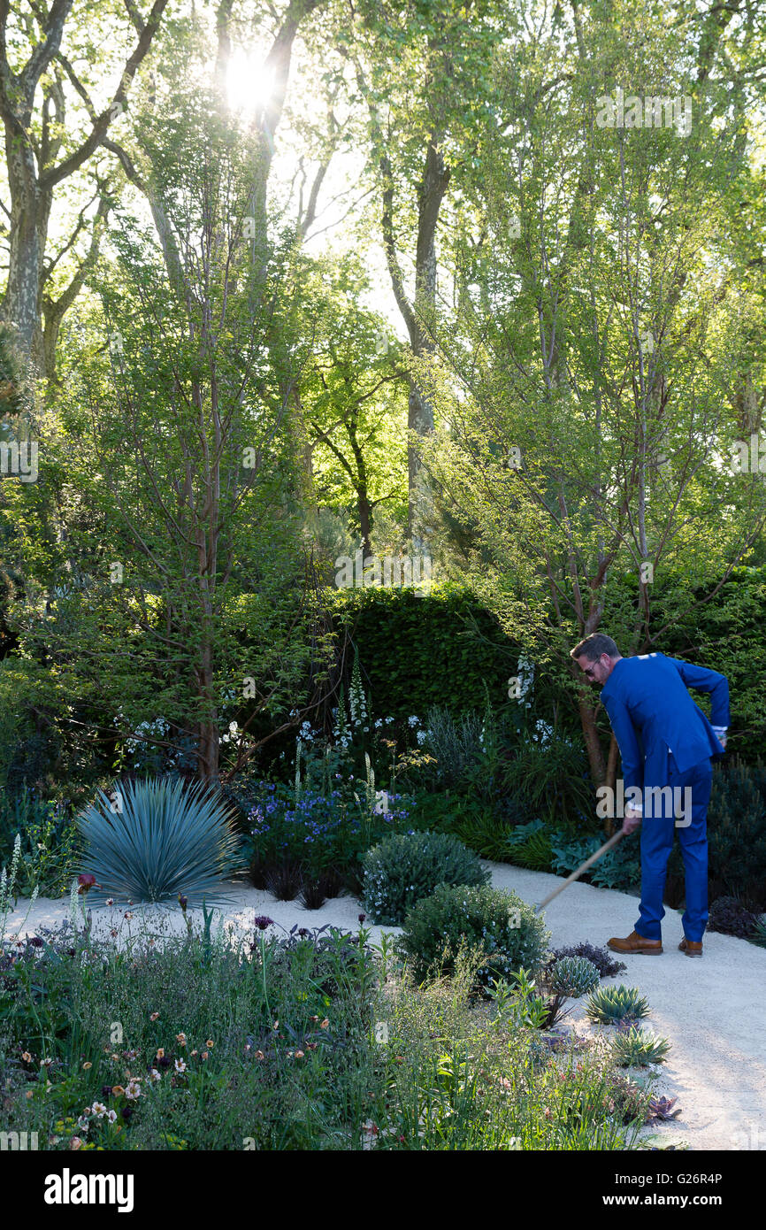 Chelsea Flower Show, London, UK. A man wearing a blue suit and sunglasses sweeps at the Winton Beauty of Mathematics Garden Stock Photo